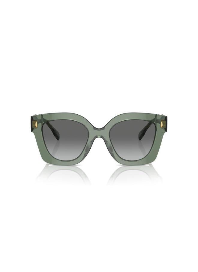 buy-tory-burch-acetate-sunglasses_pjm