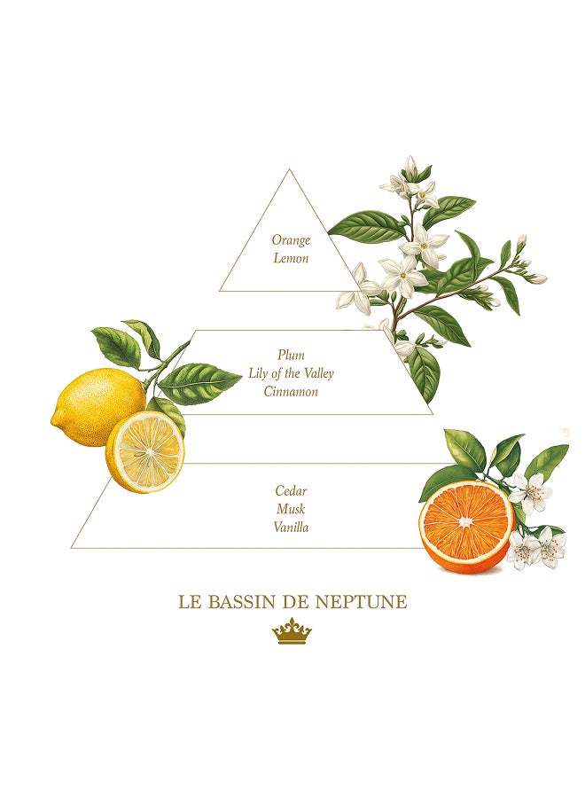 buy-la-savonnerie-royale-100g-le-bassin-de-neptune-soaps_ii6