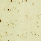 قناع الجل بخلاصة الشاي الأخضر من Aceology - مجموعة من 4