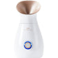Stylpro Rose Gold 4-in-1 Ionic Facial Steamer
