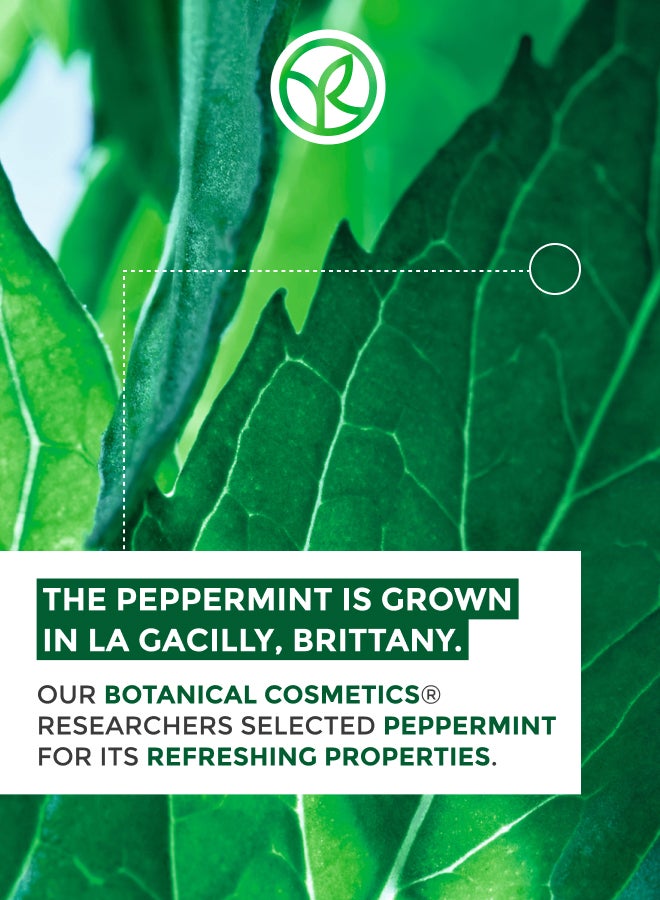 buy-yves-rocher-the-cleanser-scrub-anti-blackheads-tube-125ml_btc