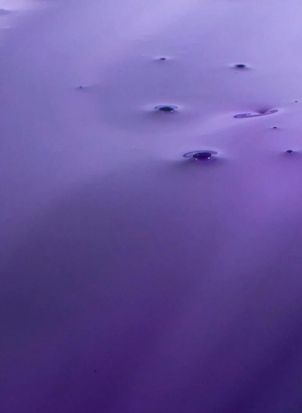 buy-milk-shake-milk-shake-silver-shine-shampoo-300ml_54v