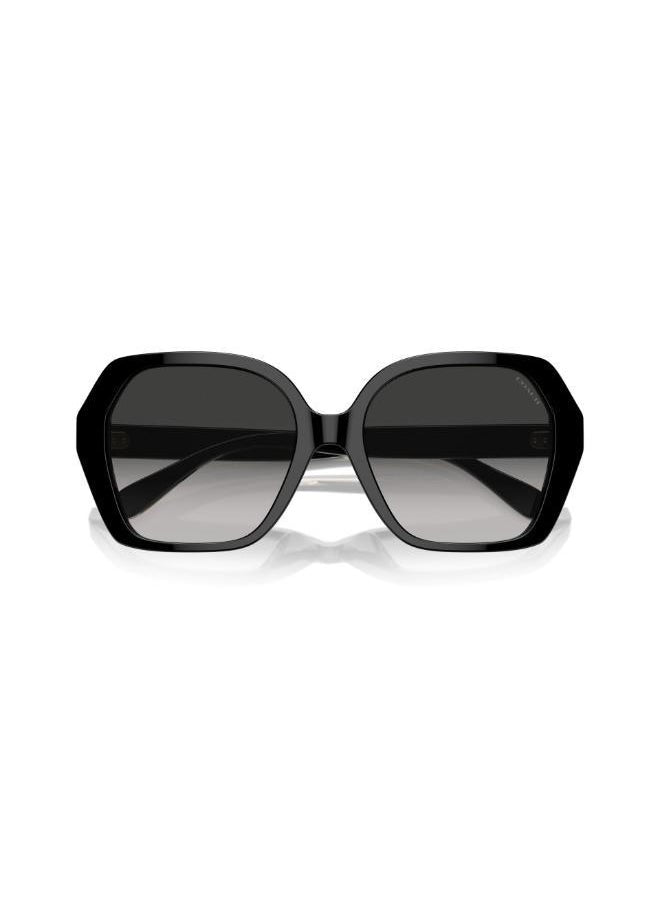 buy-coach-irregular-sunglasses_dpm