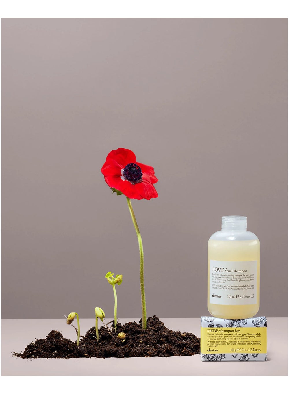 buy-davines-love-curl-shampoo_m35