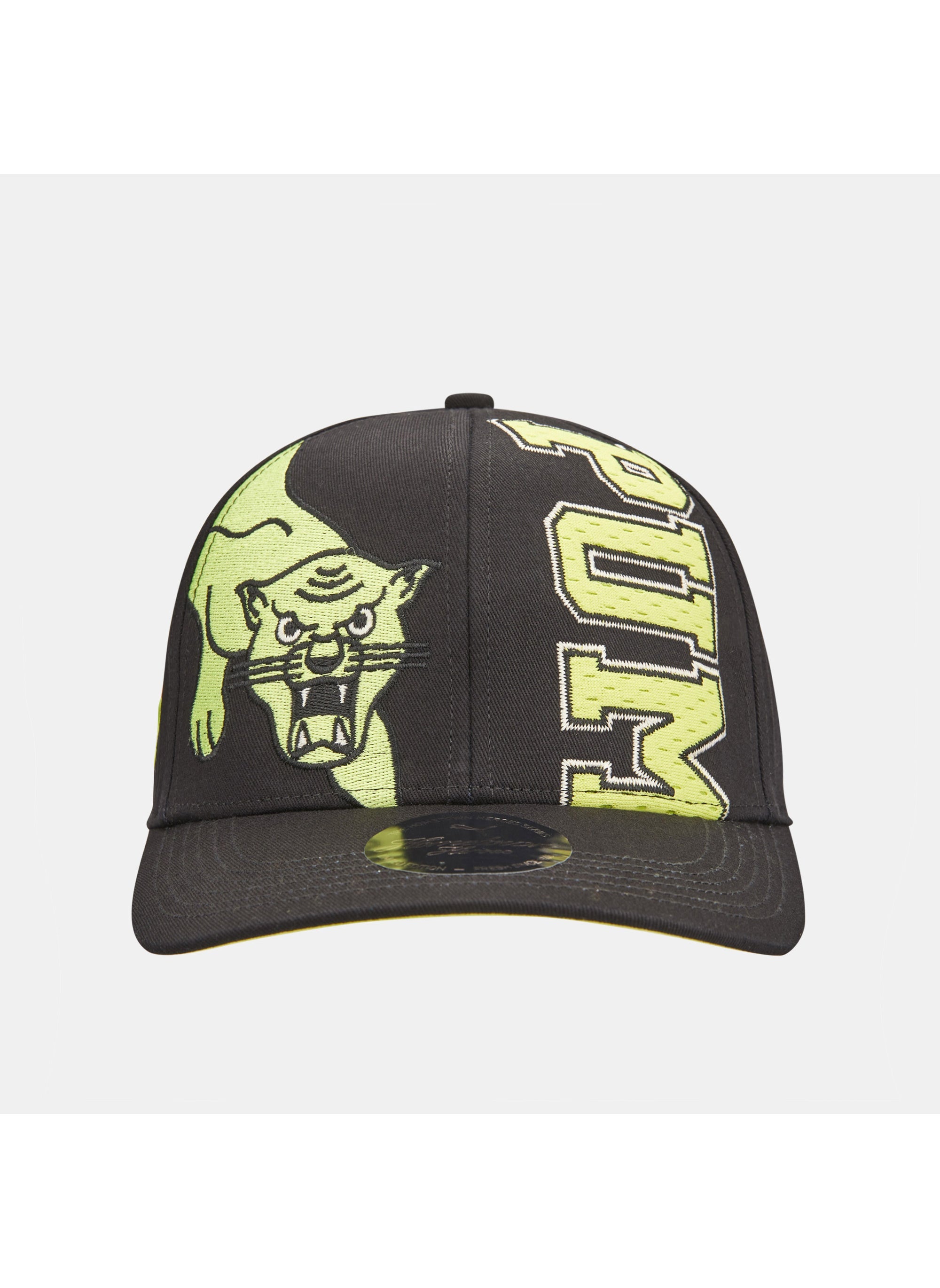 buy-puma-hometown-heroes-graphic-cap_6aw