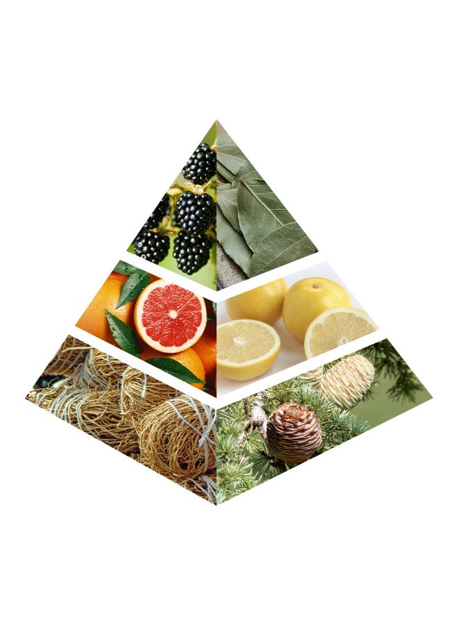 buy-character-le-dolce-berry-k-ss-eua-de-parfum-by-character-100ml_3gm