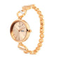 buy-titan-titan-raga-viva-quartz-analog-with-day-and-date-women-watch-rose-gold-dial-with-two-toned-colour-metal-strap_2lt