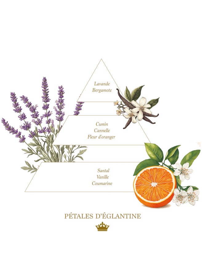 buy-la-savonnerie-royale-100g-petales-d-eglantine-soaps_gf9