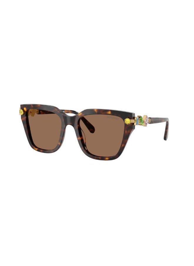 buy-swarovski-havana-frames-sunglasses_h7u