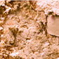 Luminous Perfection Skinfinish Highlighter 9GM/.31OZ