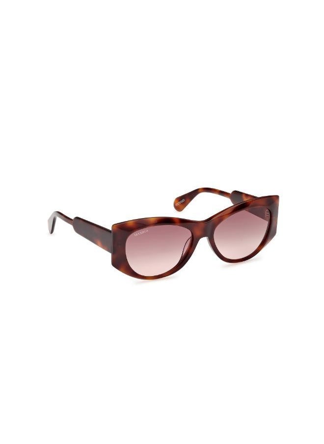 buy-maxco-wayfarers-sunglasses_r9r