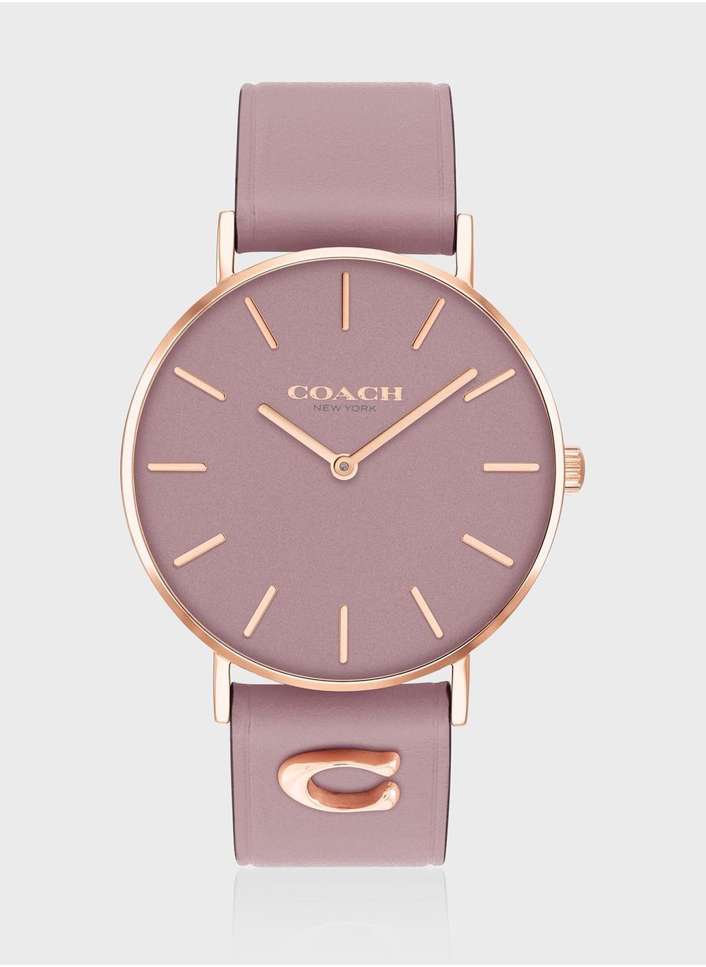 buy-coach-perry-mesh-strap-analog-watch_ffy