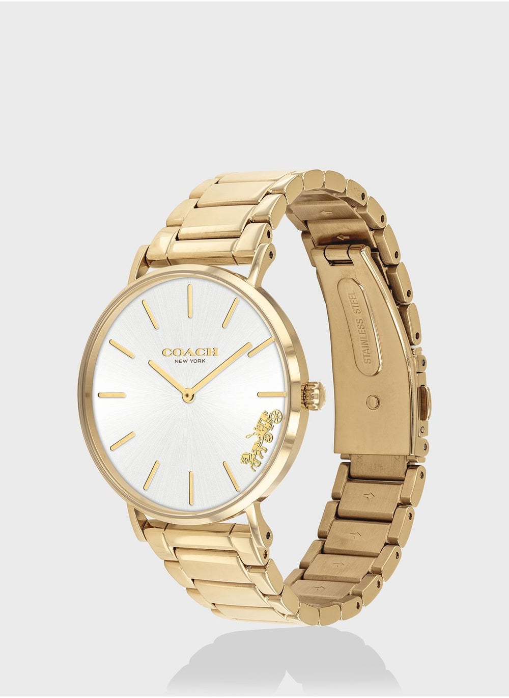 buy-coach-perry-ionic-steel-strap-watch_1f5