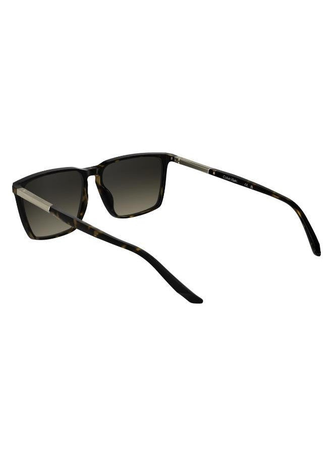 buy-calvin-klein-rectangle-sunglasses_n27