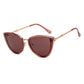 buy-vincent-chase-women-s-rim-cateye-all-time-hits-branded-latest-and-stylish-sunglasses-polarized-and-100-uv-protected-women-large-vc-s11759_pfn