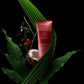 Nutriplenish Superfood Curl Gelée 200ML - Ultimate Hydration