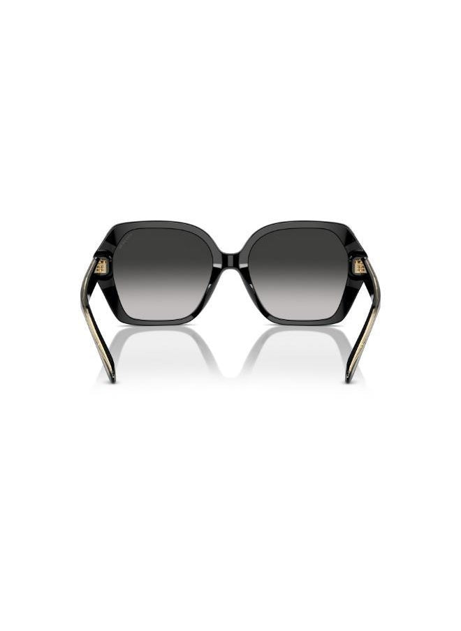 buy-coach-irregular-sunglasses_jf6