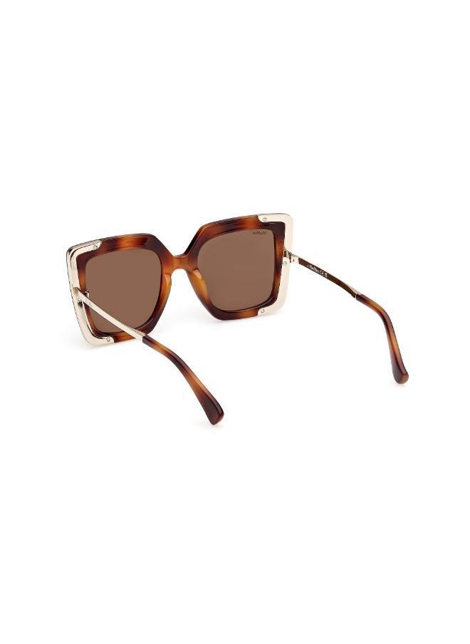 buy-max-mara-injected-shaped-sunglasses_9by