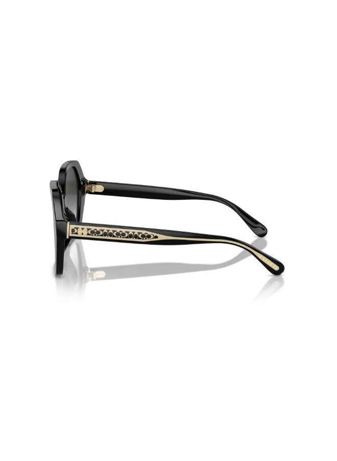 buy-coach-irregular-sunglasses_8nl