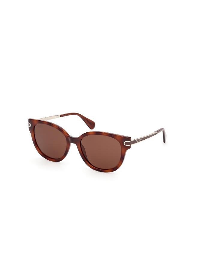 buy-maxco-injected-shaped-sunglasses_9nn