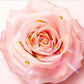 Idole L'Eau De Parfum Nectar 100ml - A Sweet Floral Symphony