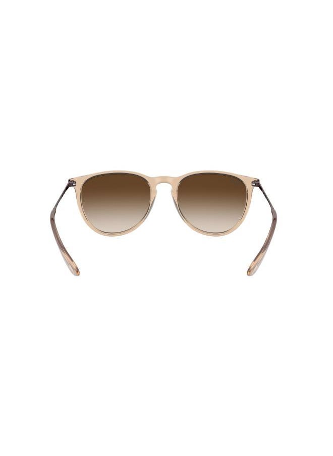 buy-ray-ban-0rb4171-aviator-sunglasses_thr