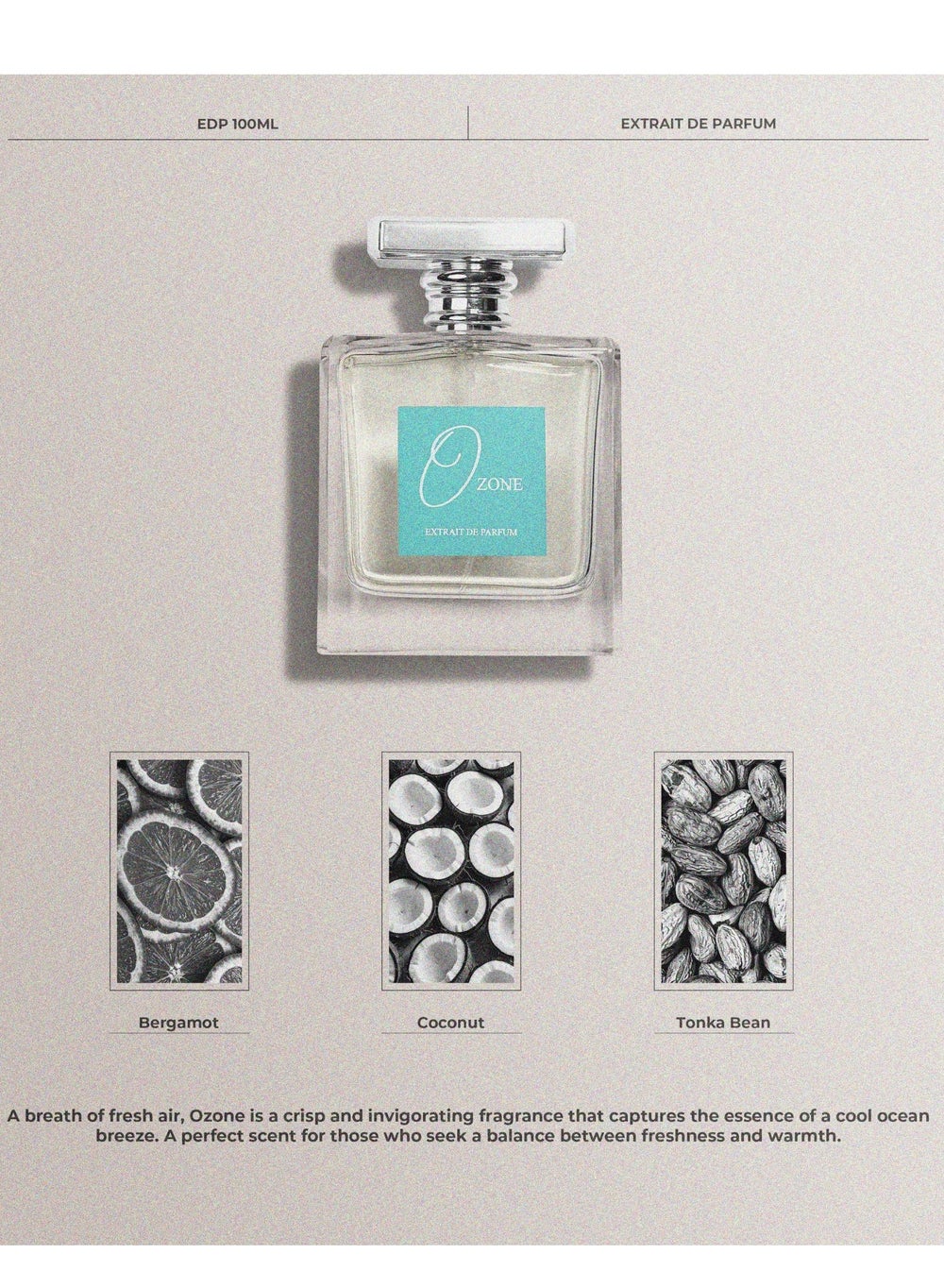 buy-amd-perfumes-privilege-ozone-by-amd-perfumes-men-and-women-fragrance-edp-100ml_x1v