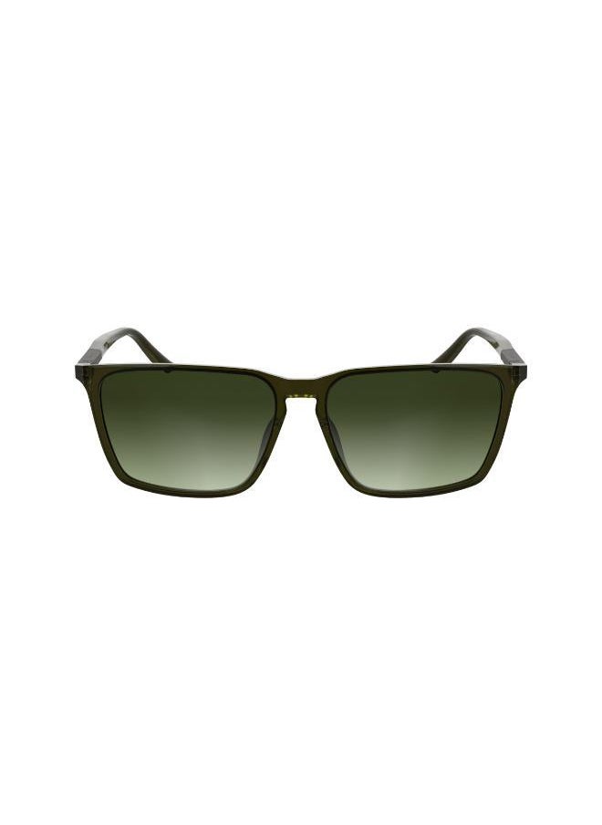 buy-calvin-klein-rectangle-sunglasses_xgv