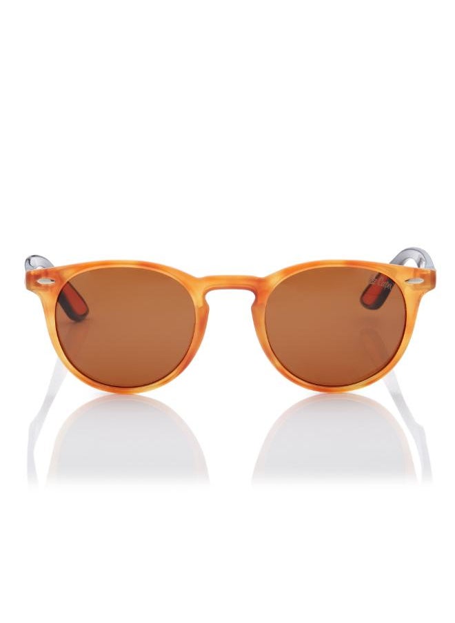 buy-lee-cooper-polarized-sunglasses-brown-frame-brown-tortoise-mirror-lens-48mm-lc1216c02_ko0