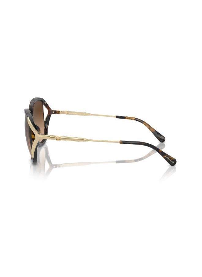 buy-coach-square-sunglasses_y9m