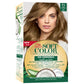 Ash Blonde Natural Instincts 7/1 – Radiant Hair Color