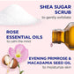 buy-dr-teal-s-dr-teal-s-shea-sugar-body-scrub-rose-538g_kpk