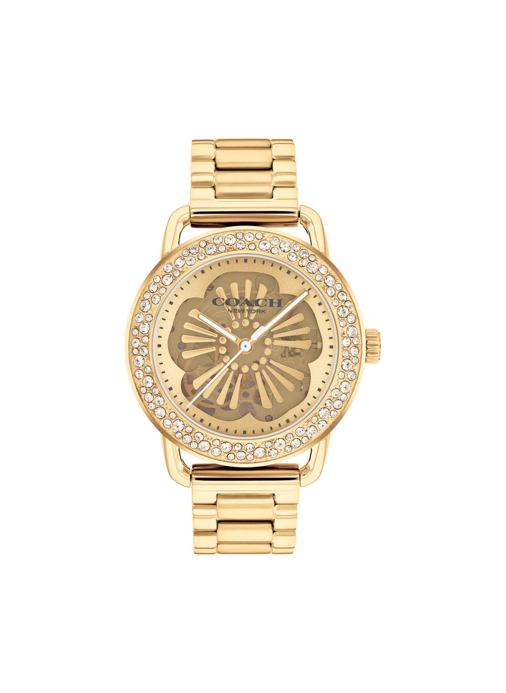 buy-coach-cruiser-analog-watch_355