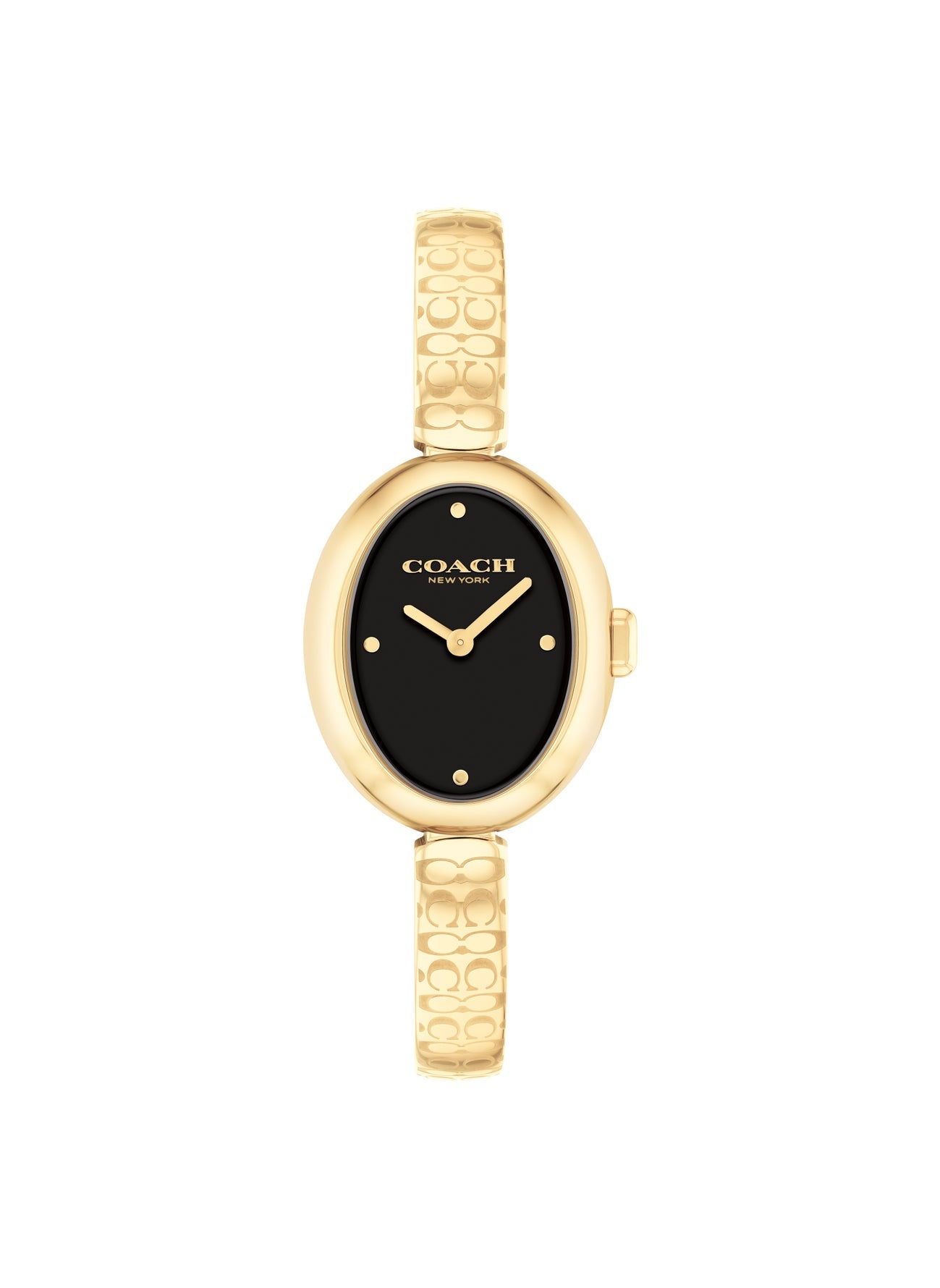 buy-coach-sammy-steel-strap-analog-watch_e3c