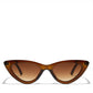 buy-blackout-gwen-women-brown-sunglasses-frame-material-thermoplastic-rubber-tr90-frame-color-brown-lens-color-brown-full-rim_vp6
