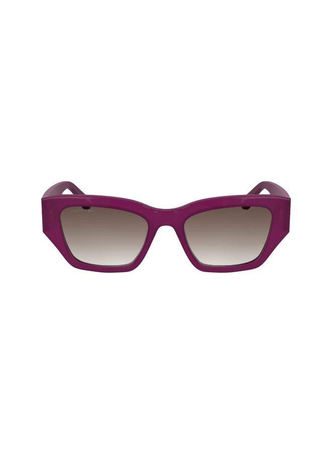 buy-lacoste-butterfly-sunglasses_3mp