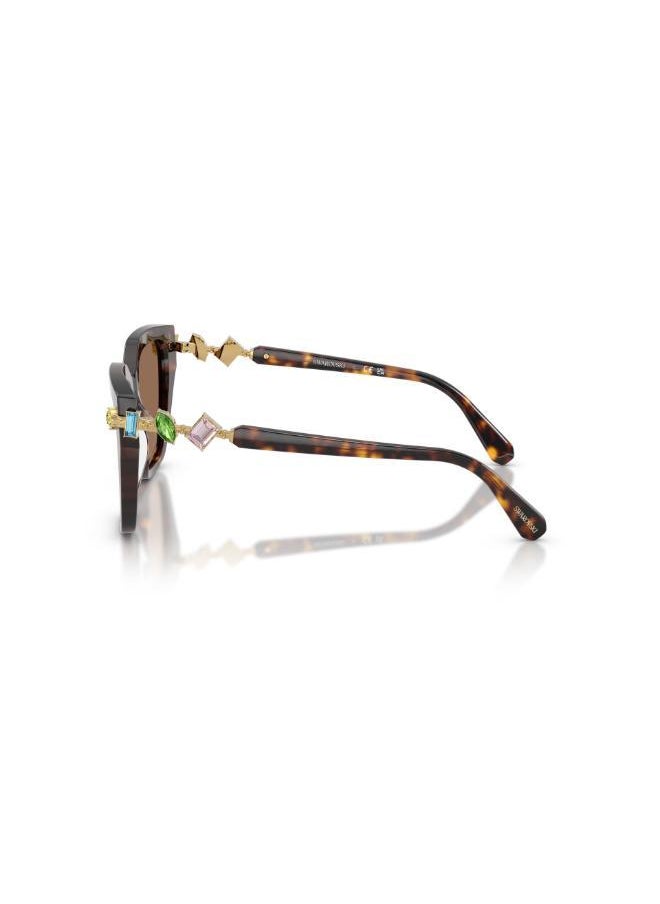 buy-swarovski-havana-frames-sunglasses_x77