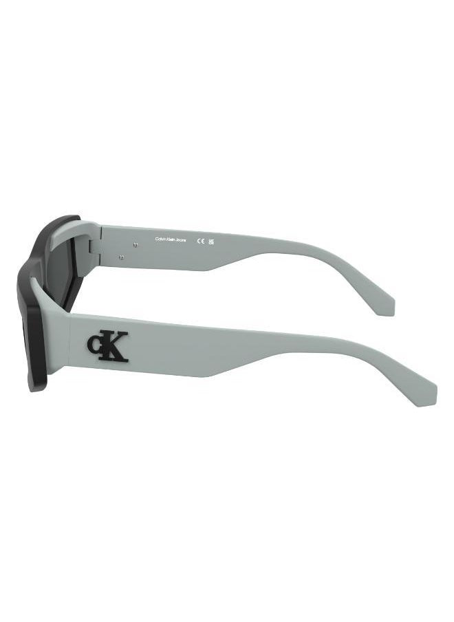 buy-calvin-klein-jeans-cat-eye-sunglasses_fe3