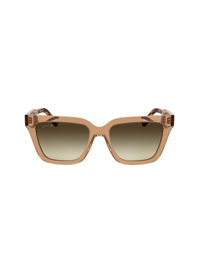 buy-lacoste-modified-rectangle-sunglasses_u3a