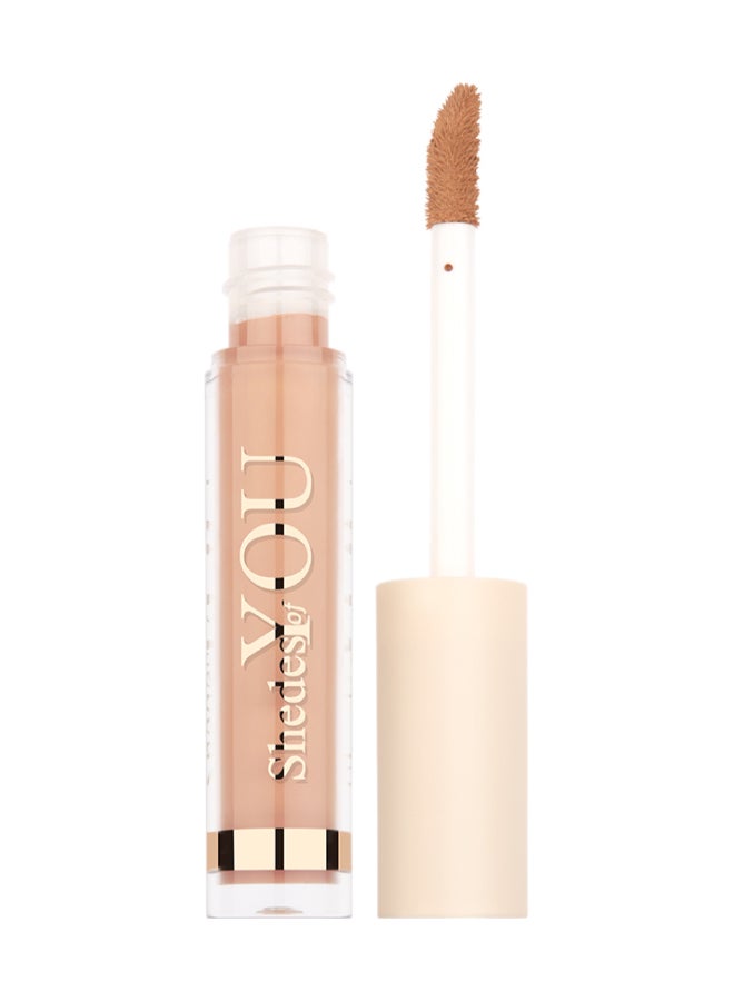 buy-character-shedes-of-you-concealer_lq3