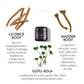 Mitti Raw Organic Honey & Cacao Face Mask