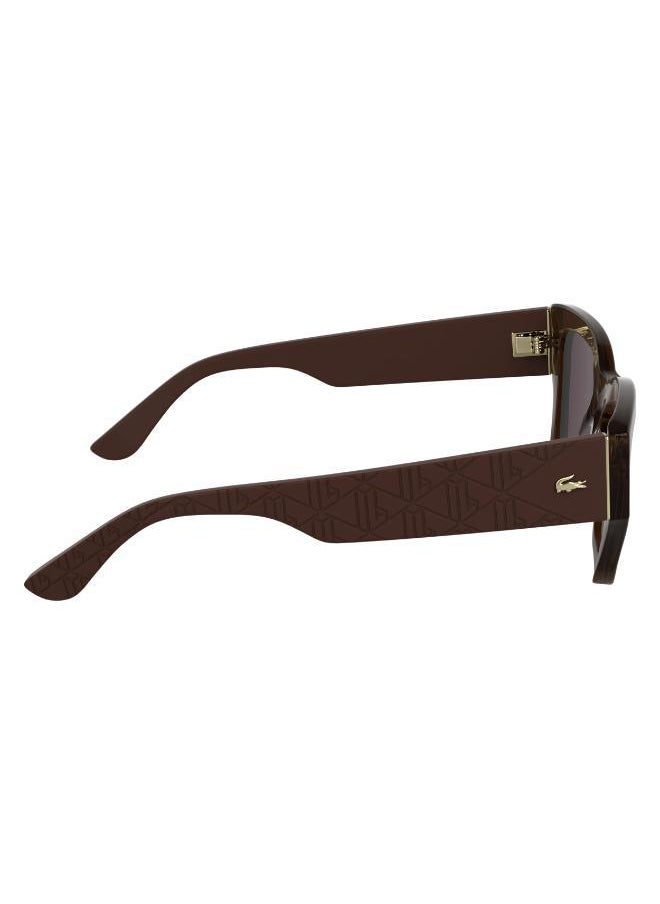 buy-lacoste-butterfly-sunglasses_xml