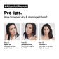 Absolut Repair Duo: Oil & Mask Set - 31% Off