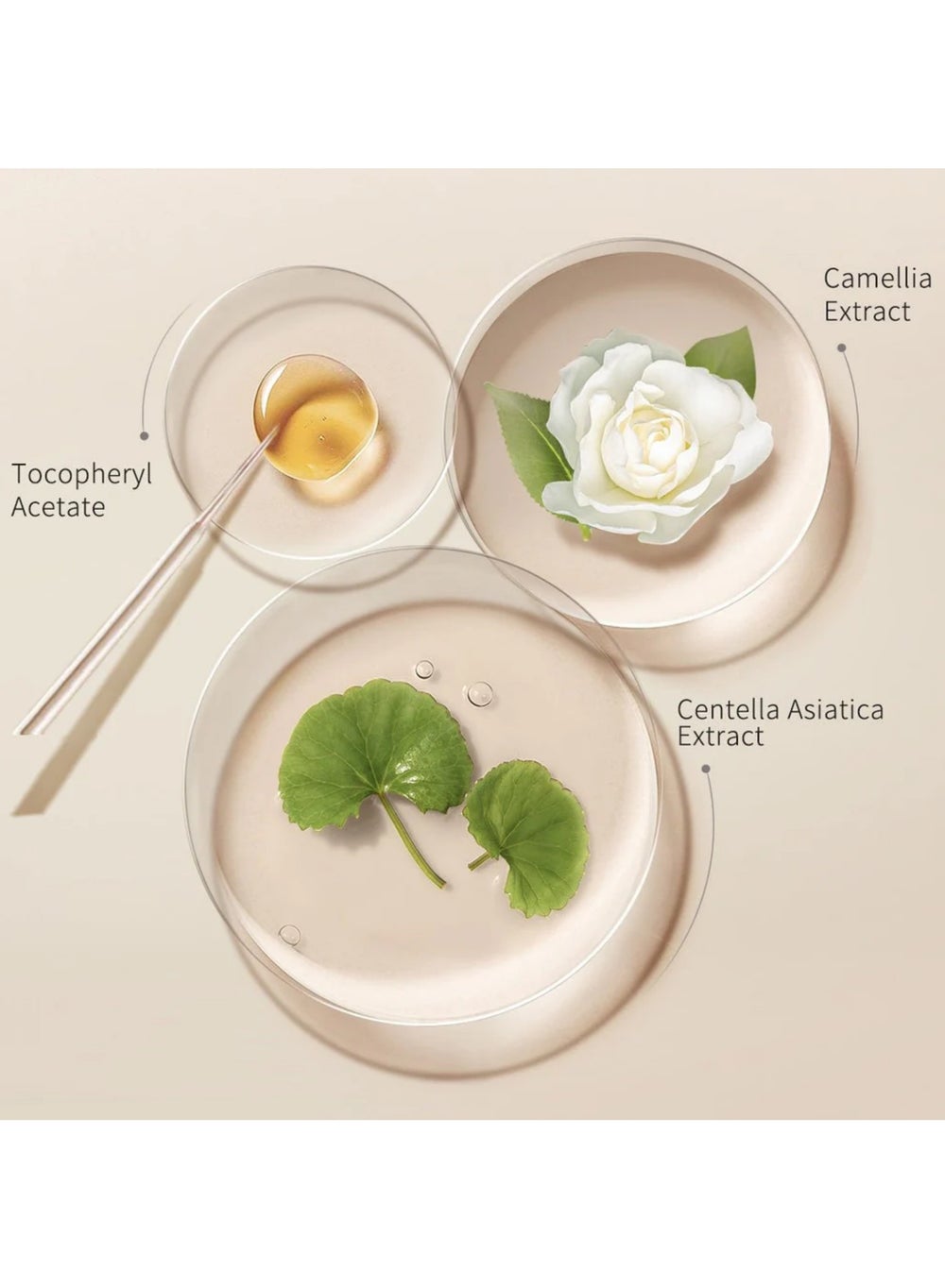 buy-zeesea-zeesea-mousse-lip-glaze-04_yh0