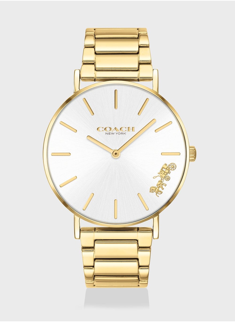 buy-coach-perry-ionic-steel-strap-watch_4on