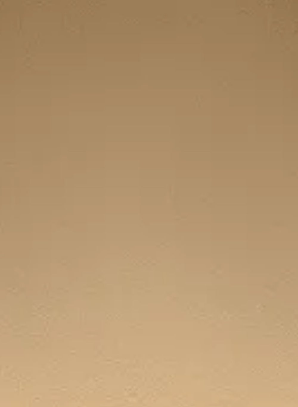 buy-paese-paese-illuminating-covering-powder-1c_lqx