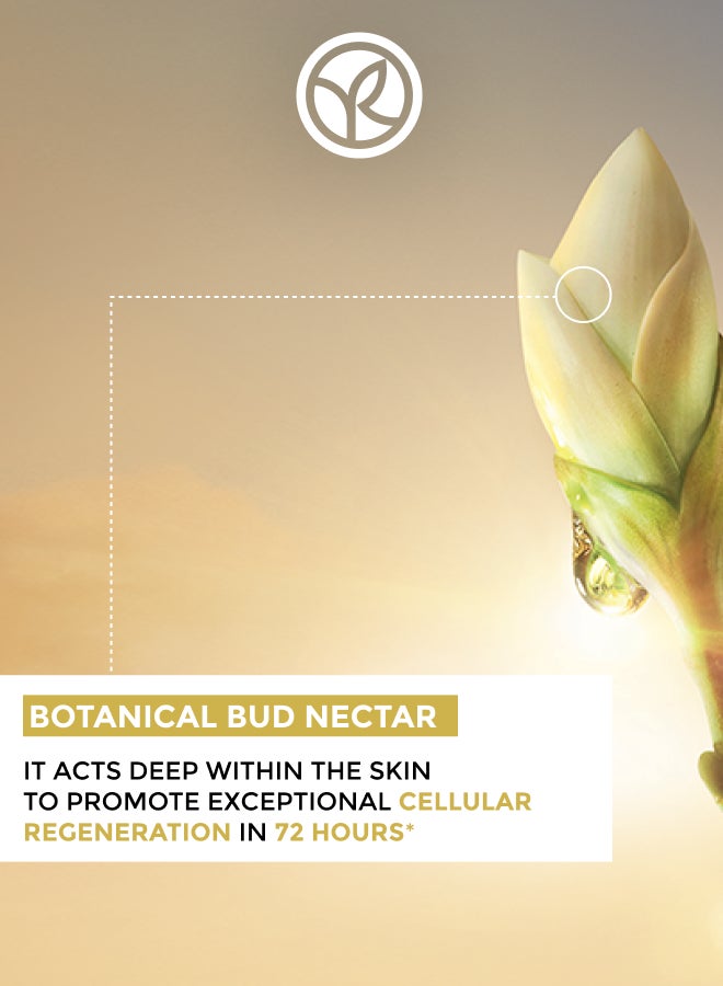 buy-yves-rocher-night-care-pot-50ml_gjy