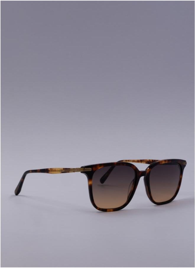 buy-scotch-soda-beverly-square-sunglasses_wvr