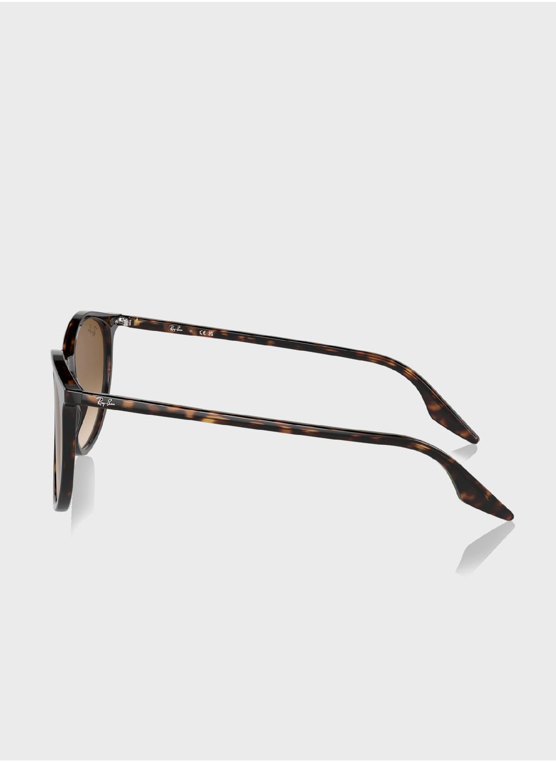 buy-ray-ban-0rb2204-round-sunglasses_7w5