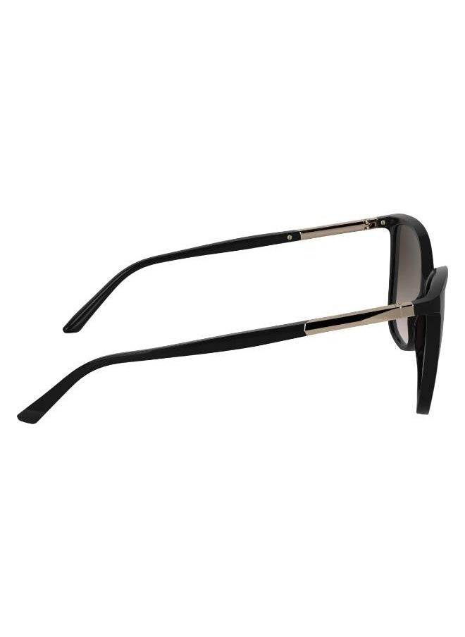 buy-calvin-klein-butterfly-sunglasses_ob5